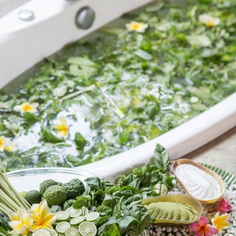 Plant Medicine Baths and Wim Hof Therapies