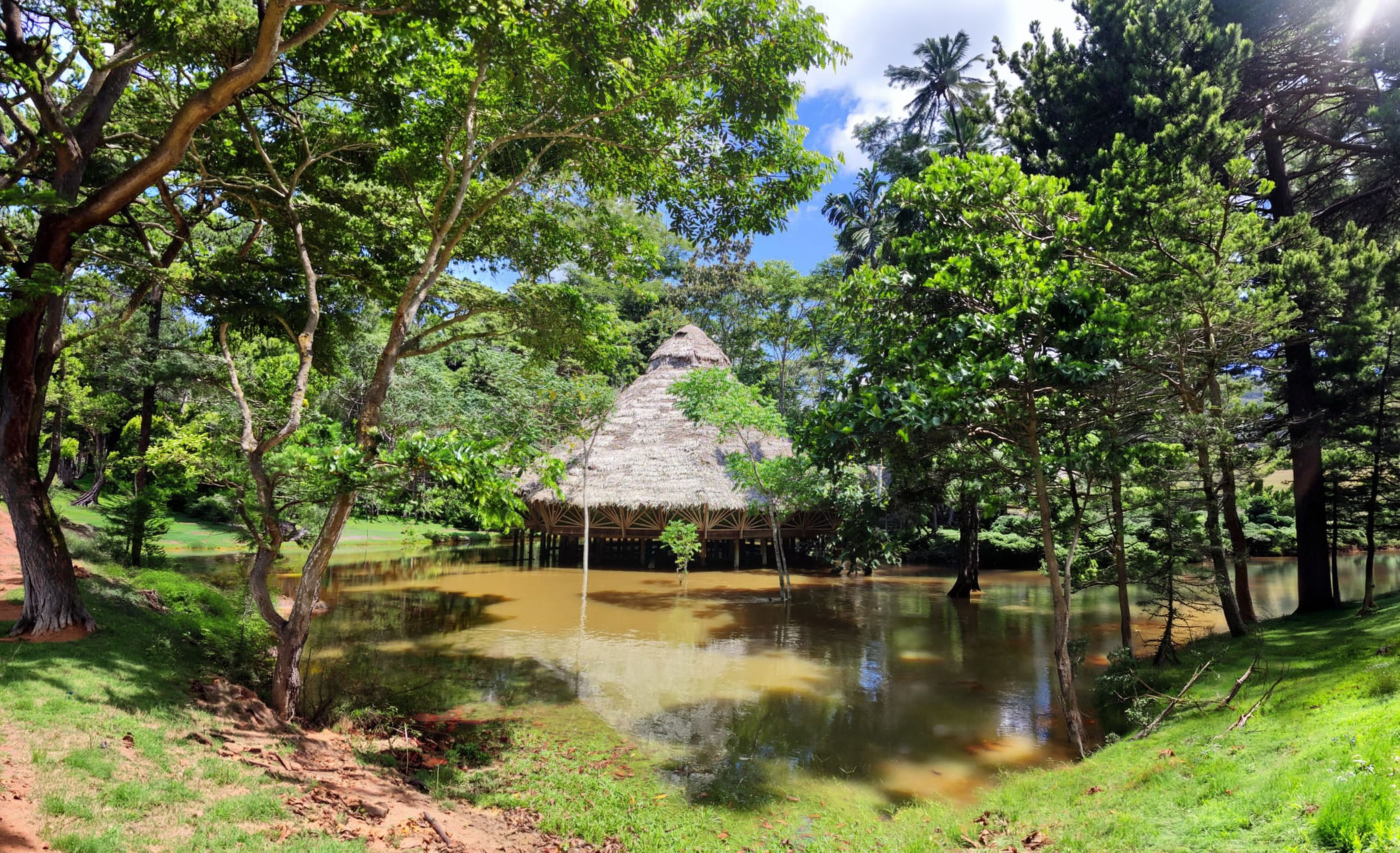 Amazon rainforest retreat setting